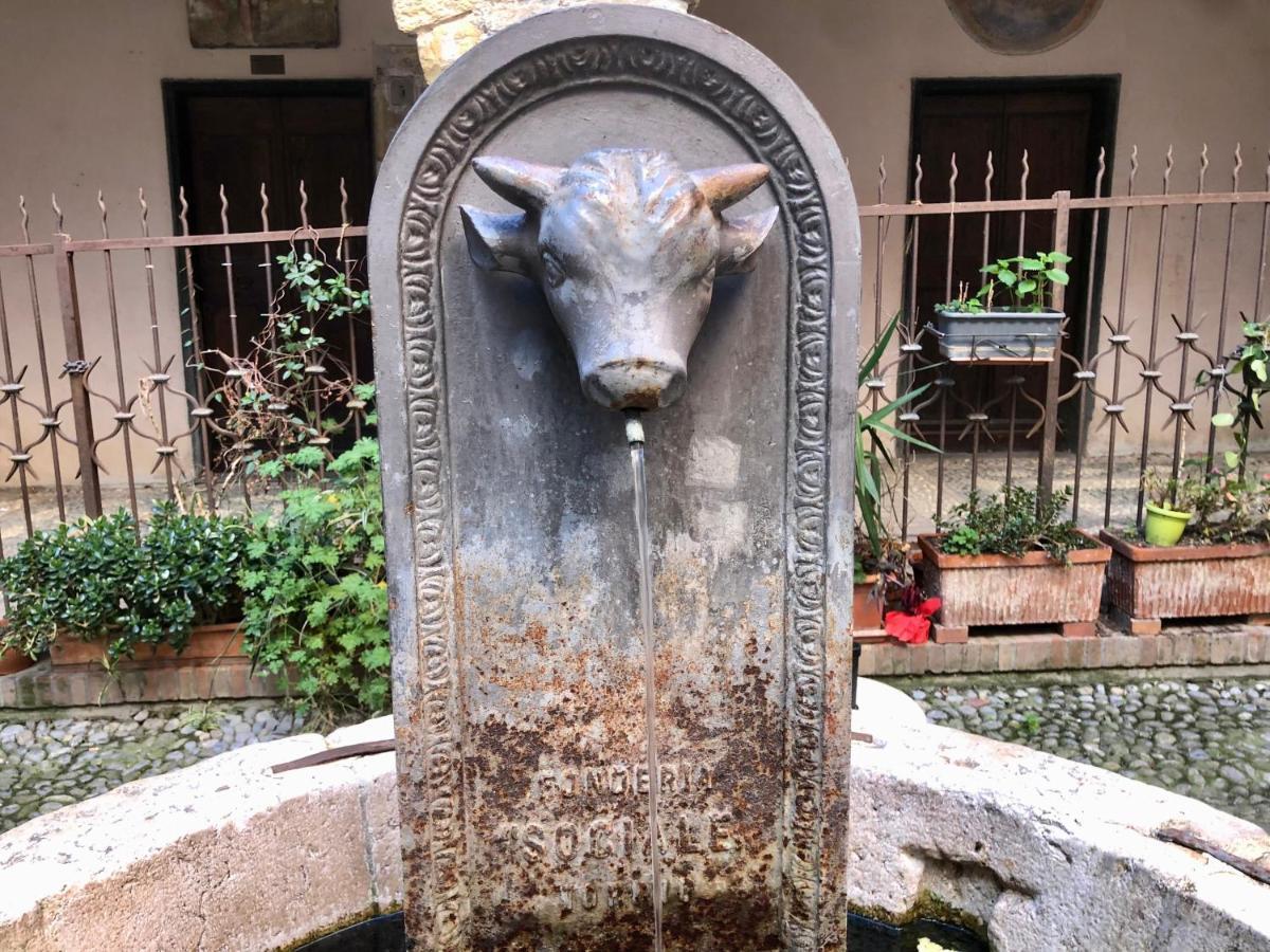 Ai Piedi Della Pigna Sanremo