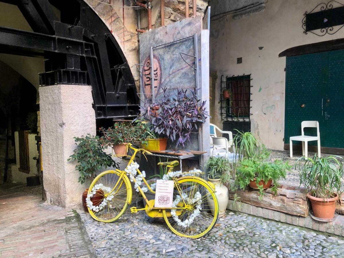 Ai Piedi Della Pigna