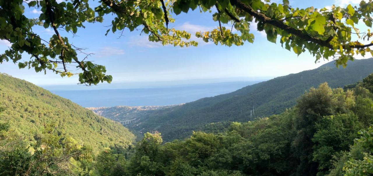 Ai Piedi Della Pigna *