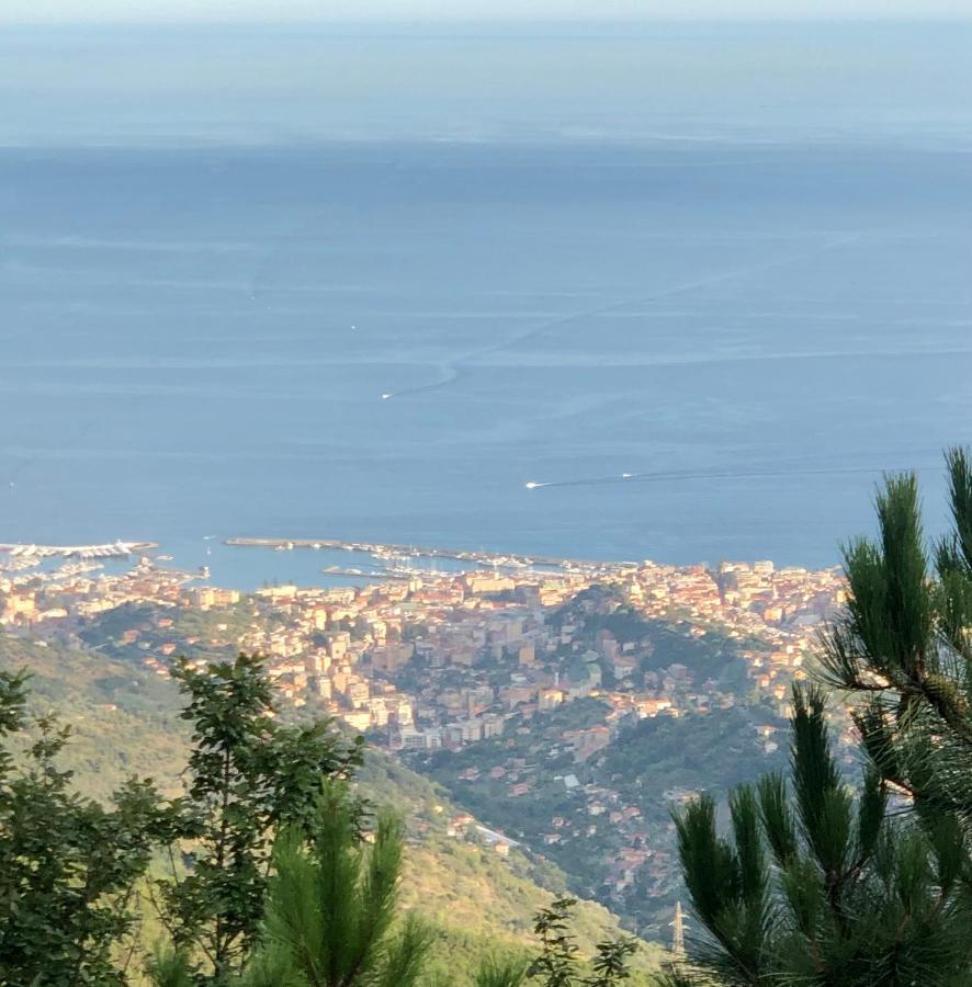 Ai Piedi Della Pigna Apartment Sanremo